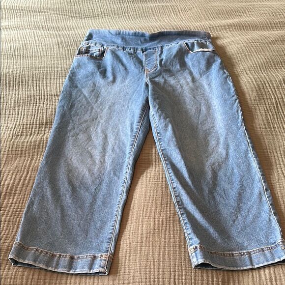 Gloria Vanderbilt Amanda All Around Slimming Effect Blue Denim Capri Pants - Picture 1 of 8